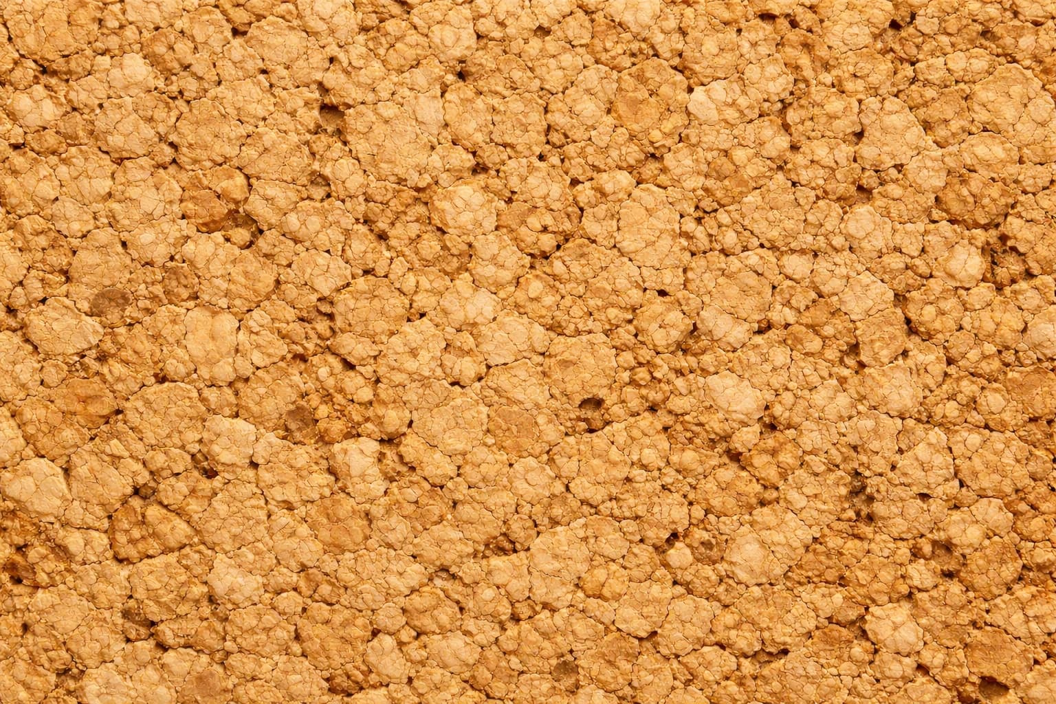 Close-up of natural cork surface texture